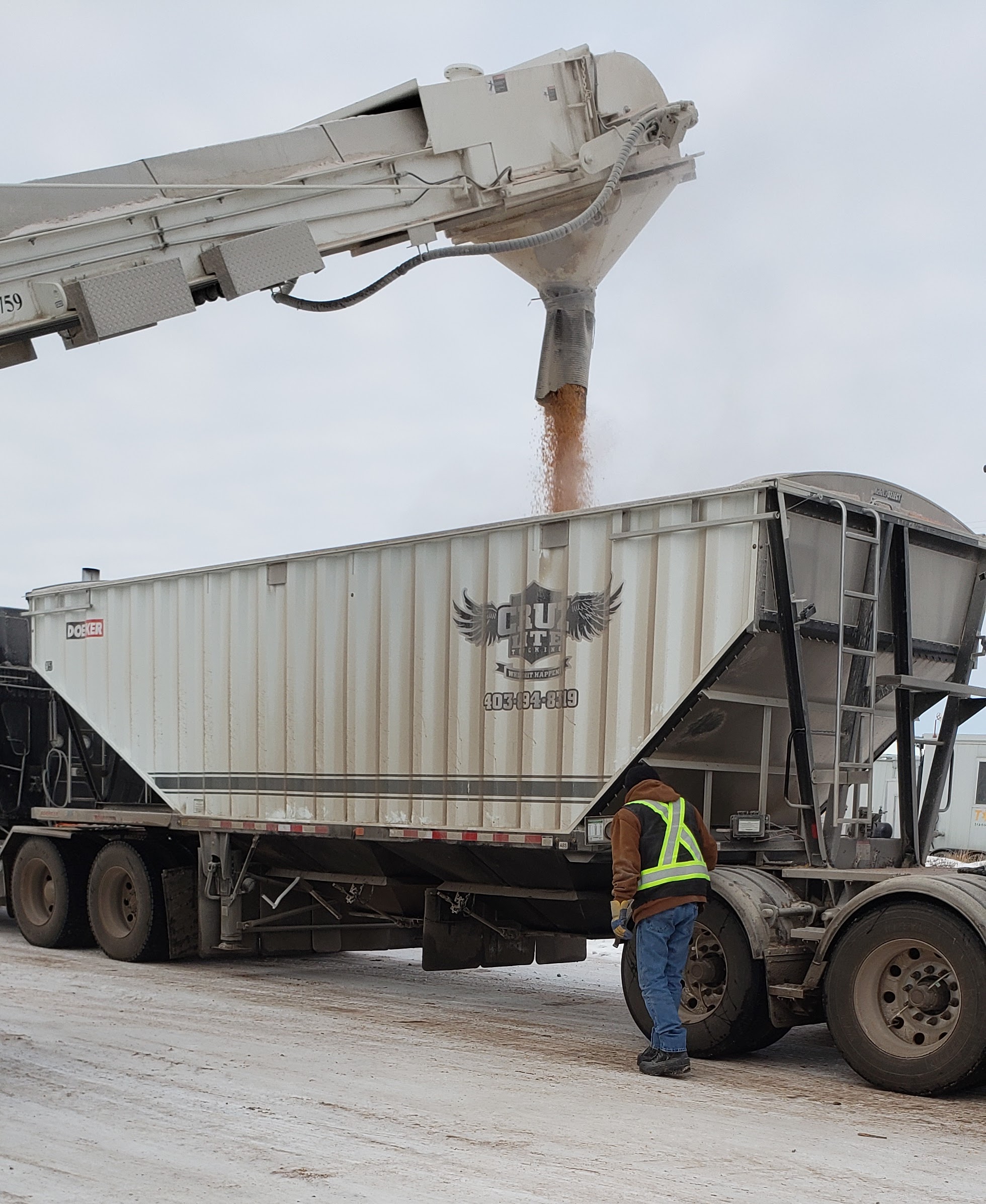 Tilley, AB - Transload - CPKC - second view
